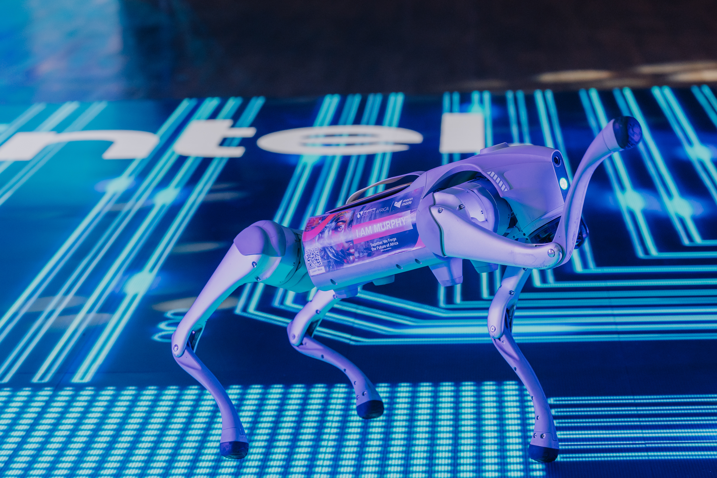 Quadruped Robot